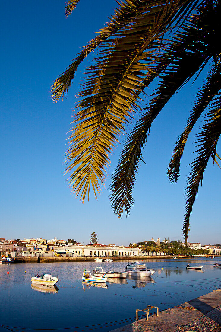 View across Rio Gilao towards the old market hall (Mercado da Ribeira), Tavira, Algarve, Portugal