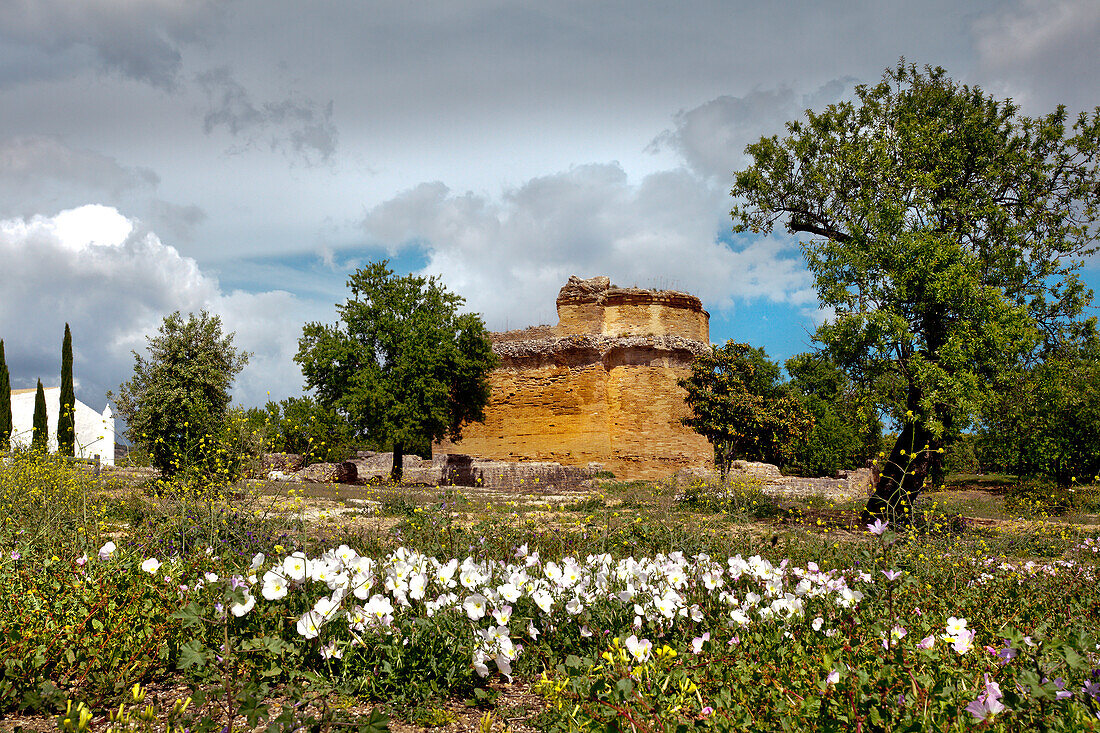 Flowers in roman ruins, archaeological park, Milreu, Algarve, Portugal