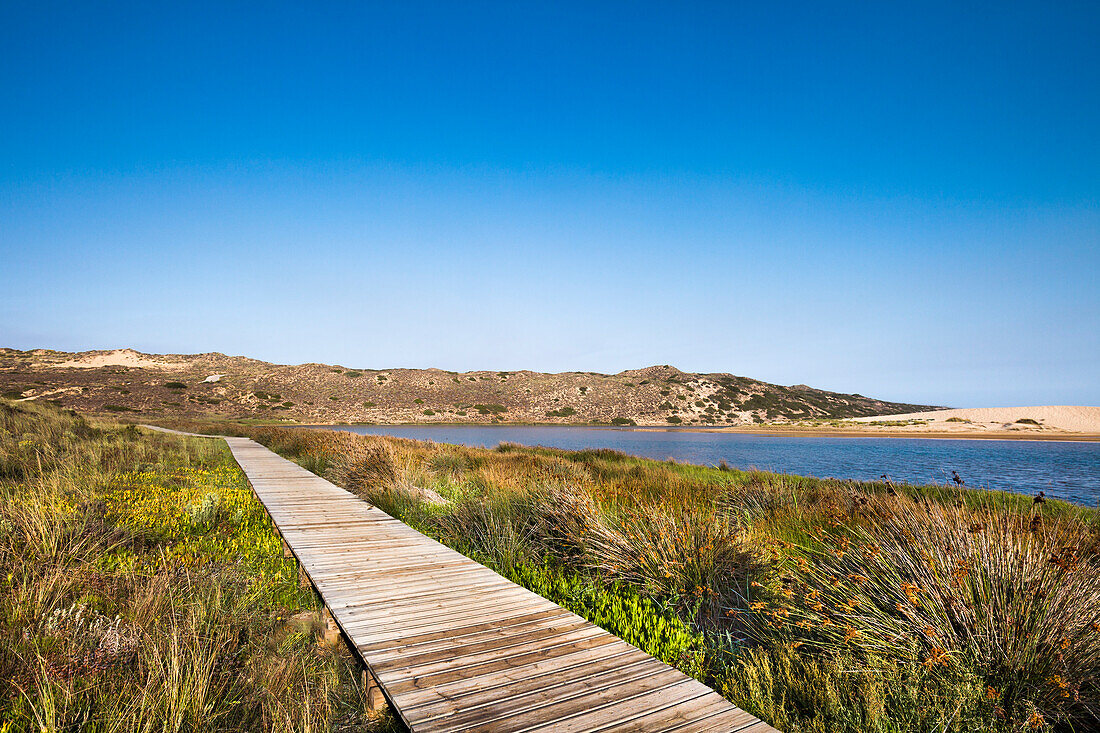 Footpath in the dunes, Praia da Bordeira, Carrapateira, Costa Vicentina, Algarve, Portugal