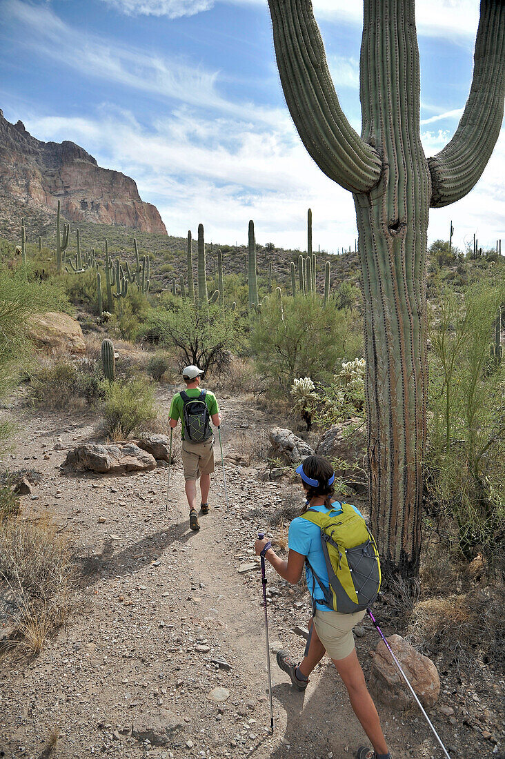 Active couple hikes around Picketpost Mountain in the Tonto National Forest near Phoenix, Arizona November 2011.