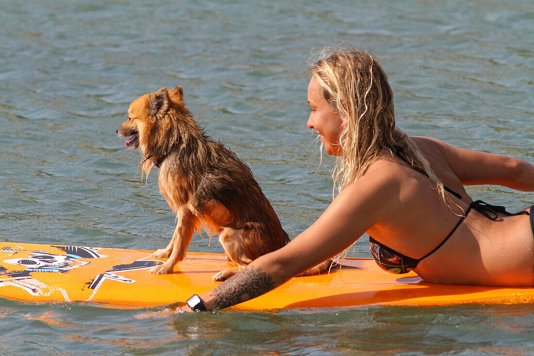 Surfer girl with a dog.