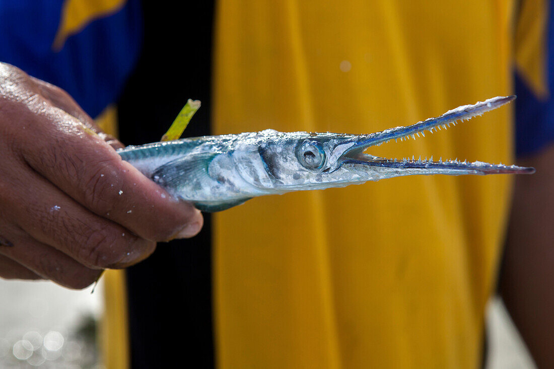 A fisherman holds a barracuda on the tiny island of Gili Air, Indonesia.