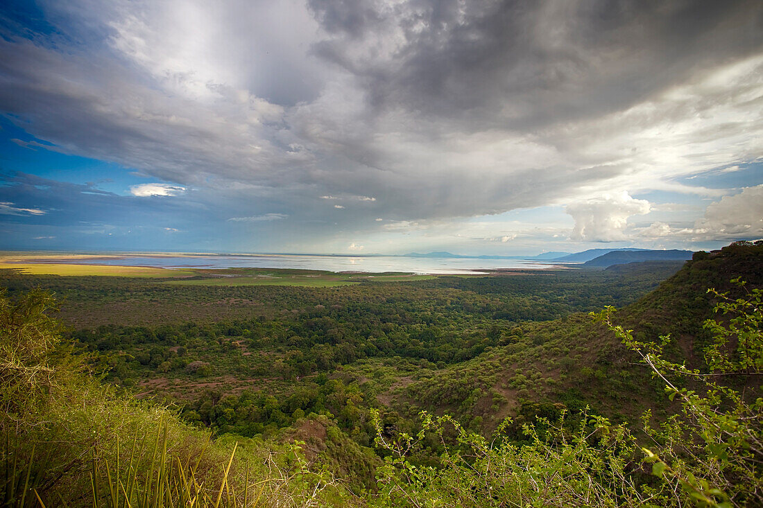 Safari at Lake Manyara National Park, Tanzania