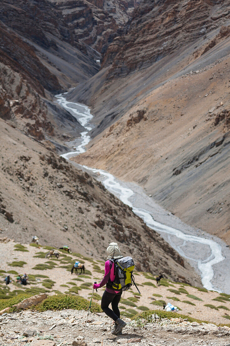 A woman is hiking toward a river, Spiti, India.