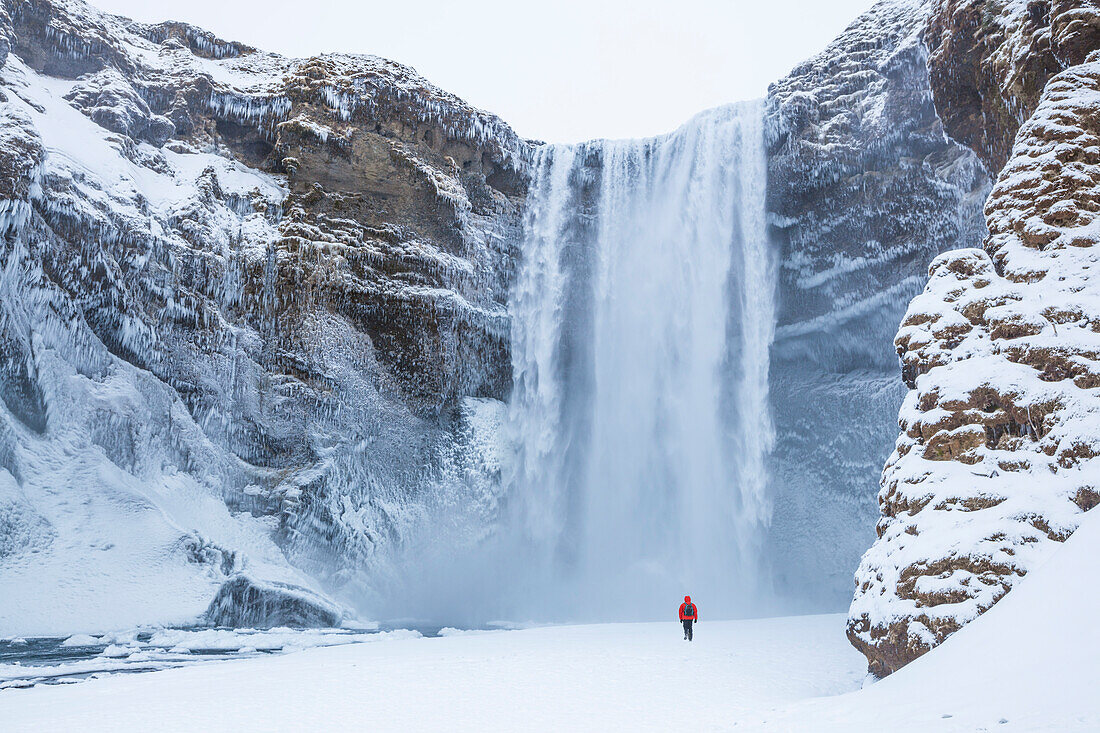 One person in red jacket walking in the snow towards Skogafoss waterfall in winter, Skogar, South Iceland, Iceland, Polar Regions