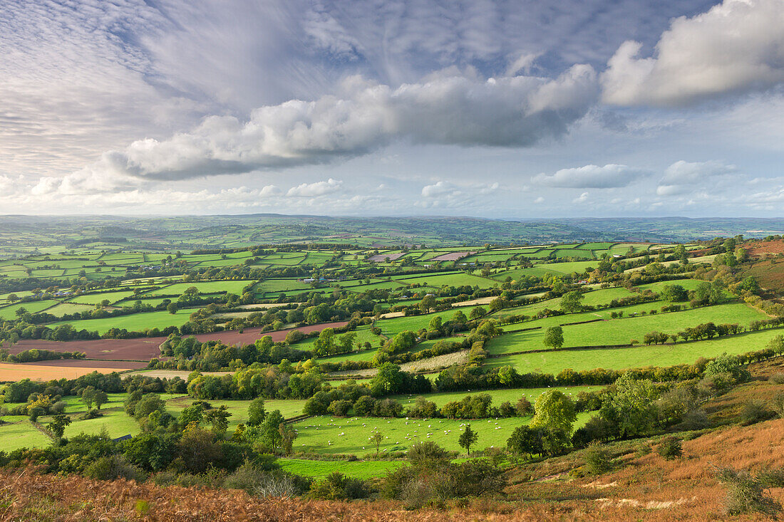 Patchwork rolling countryside near Llangorse in the Brecon Beacons National Park, Powys, Wales, United Kingdom, Europe