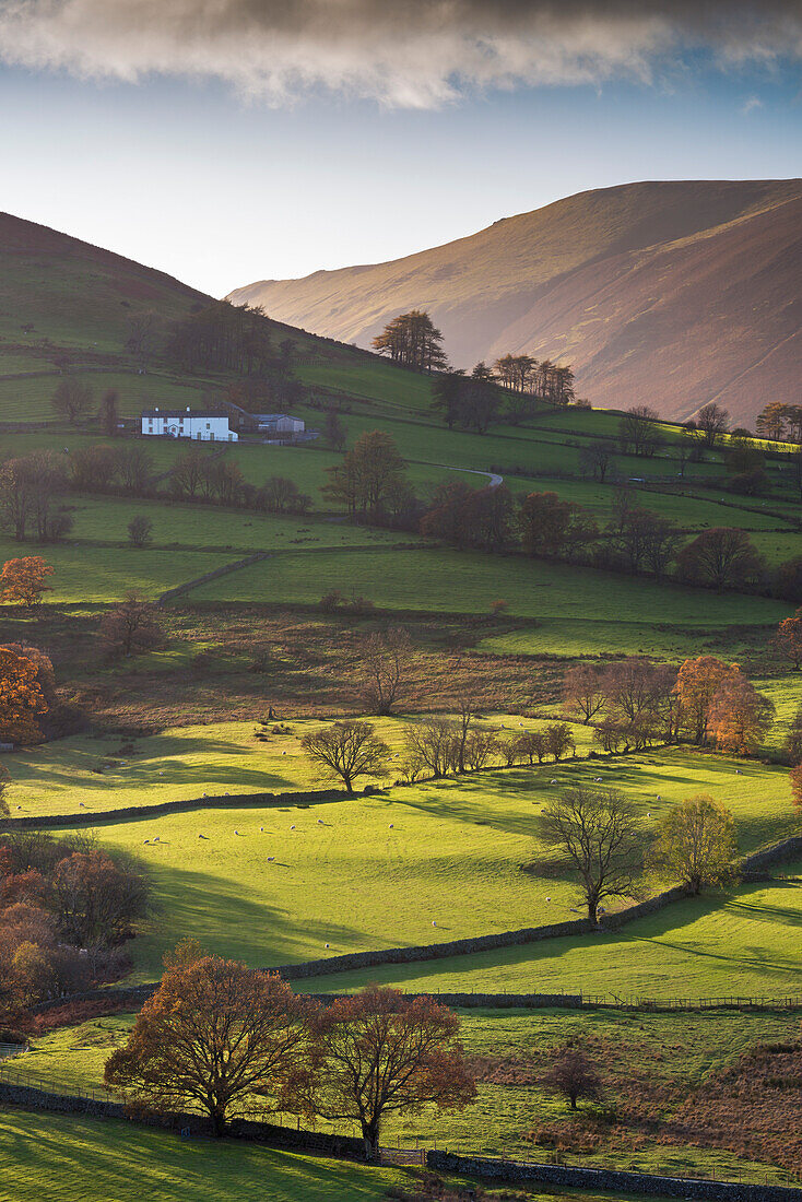 High Snab farmhouse in the beautiful Newlands Valley in autumn, Lake District National Park, Cumbria, England, United Kingdom, Europe