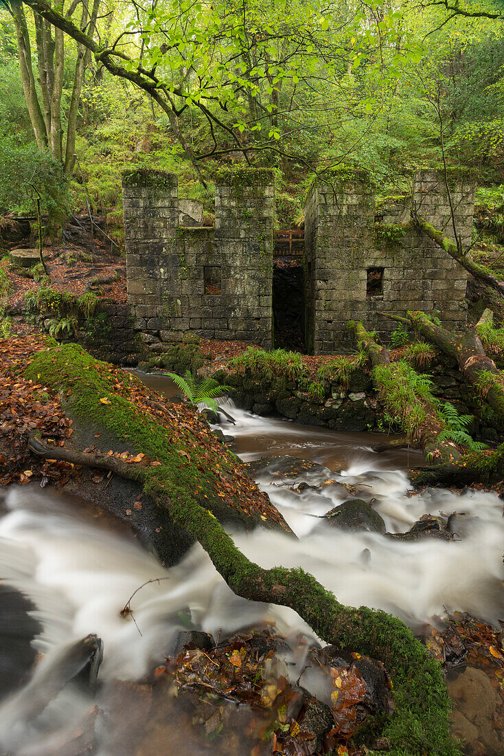Abandoned 19th century gunpowder works at Kennall Vale, now a wooded nature reserve, Ponsanooth, Cornwall, England, United Kingdom, Europe