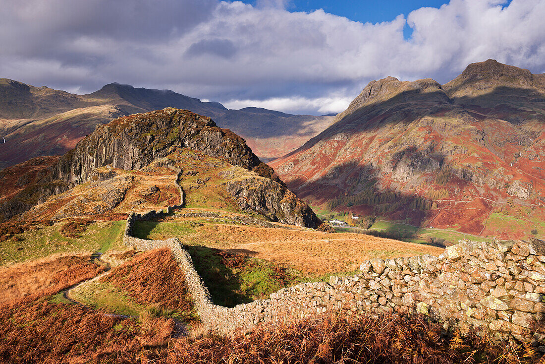 Drystone wall on Lingmoor Fell looking towards Side Pike and the Langdale Valley in autumn, Lake District National Park, Cumbria, England, United Kingdom, Europe