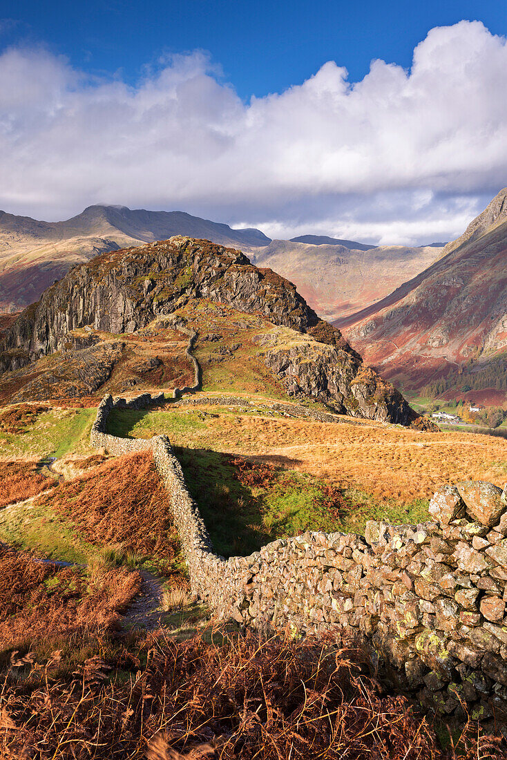 Drystone wall on Lingmoor Fell in autumn in the Lake District National Park, Cumbria, England, United Kingdom, Europe