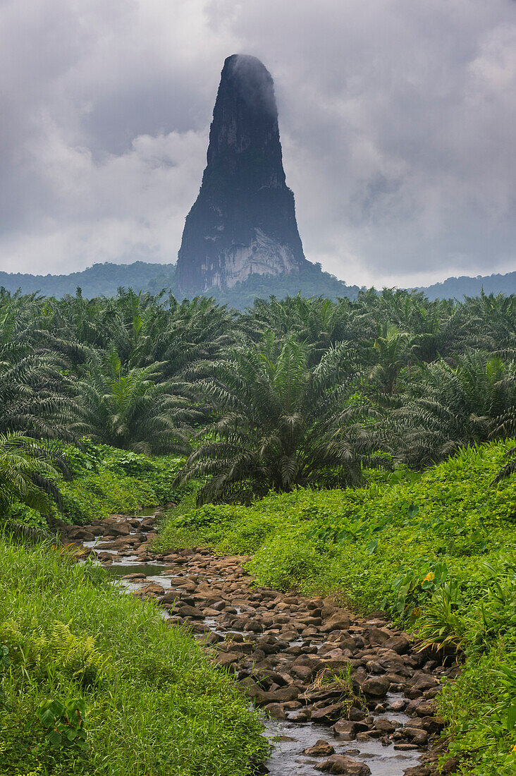 Little creek leading to the unusal monolith, Pico Cao Grande, east coast of Sao Tome, Sao Tome and Principe, Atlantic Ocean, Africa