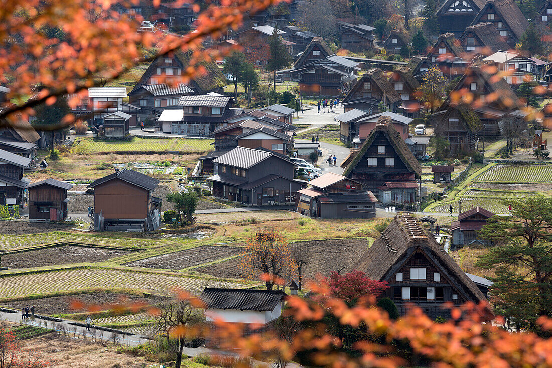 Gassho-zukuri folk houses, Ogimachi village, Shirakawa-go, near Takayama, Central Honshu, Japan, Asia