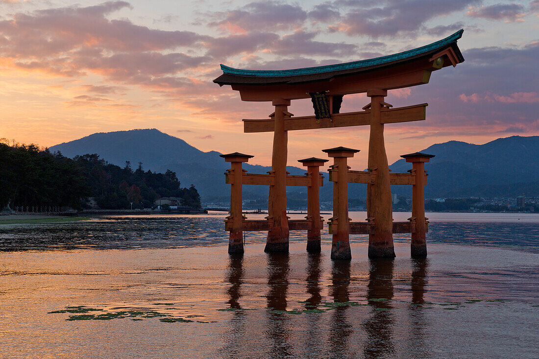 The floating Miyajima torii gate of Itsukushima Shrine at sunset, UNESCO World Heritage Site, Miyajima Island, Western Honshu, Japan, Asia