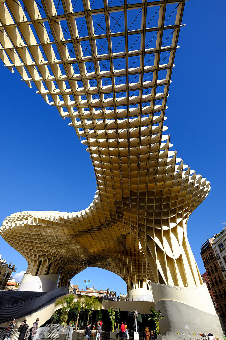 Metropol Parasol, known as Setas de Sevilla (The Mushroom), the world's largest wooden structure, Seville, Andalucia, Spain, Europe
