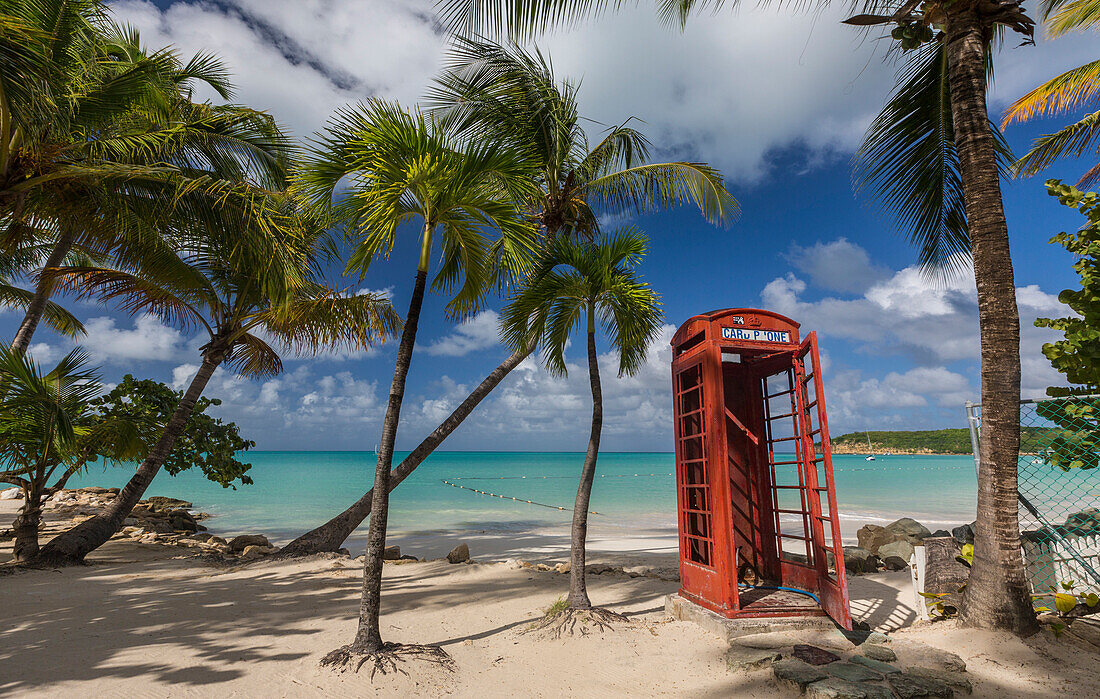 A red telephone box lies abandoned under coconut trees that surround Dickenson Bay, a strip of sand overlooking the Caribbean Sea, Antigua, Leeward Islands, West Indies, Caribbean, Central America