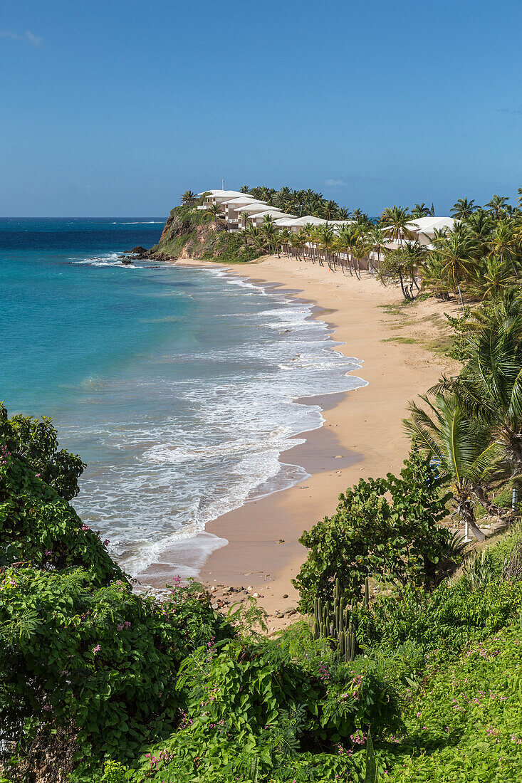 View of the beach in Carlisle where among the vegetation was built a prestigious resort crowded with tourists all year round, St. Johns, Antigua, Leeward Islands, West Indies, Caribbean, Central America