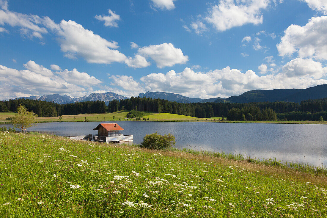 Blick über den Attlesee bei Nesselwang auf die Tannheimer Berge, Allgäu, Bayern, Deutschland