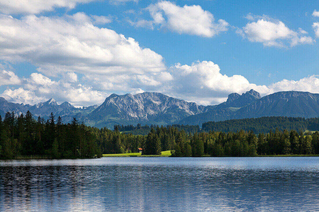 Blick über den Schwaltenweiher bei Seeg auf die Tannheimer Berge, Allgäu, Bayern, Deutschland