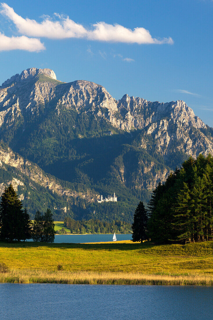 View over Forggensee to Neuschwanstein castle and Saeuling, Allgaeu, Bavaria, Germany