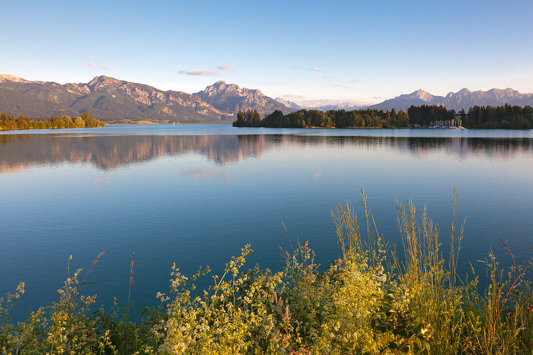 Blick über den Forggensee auf Tegelberg, Neuschwanstein, Säuling und Tannheimer Berge, Allgäu, Bayern, Deutschland