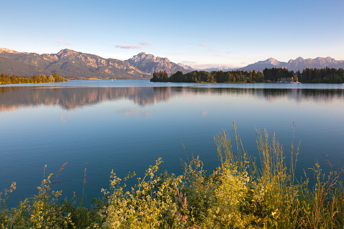 View over Forggensee to Tegelberg, Neuschwanstein castle, Saeuling and Tannheimer Berge, Allgaeu, Bavaria, Germany
