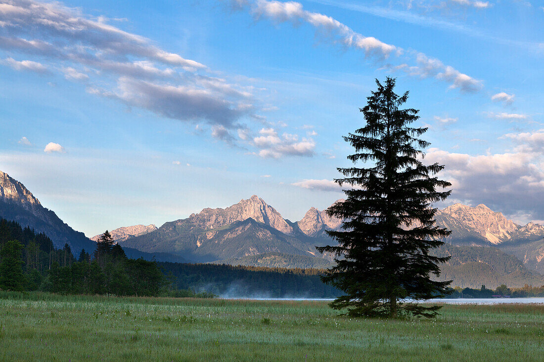 Blick über den Bannwaldsee auf die Tannheimer Berge, Allgäu, Bayern, Deutschland