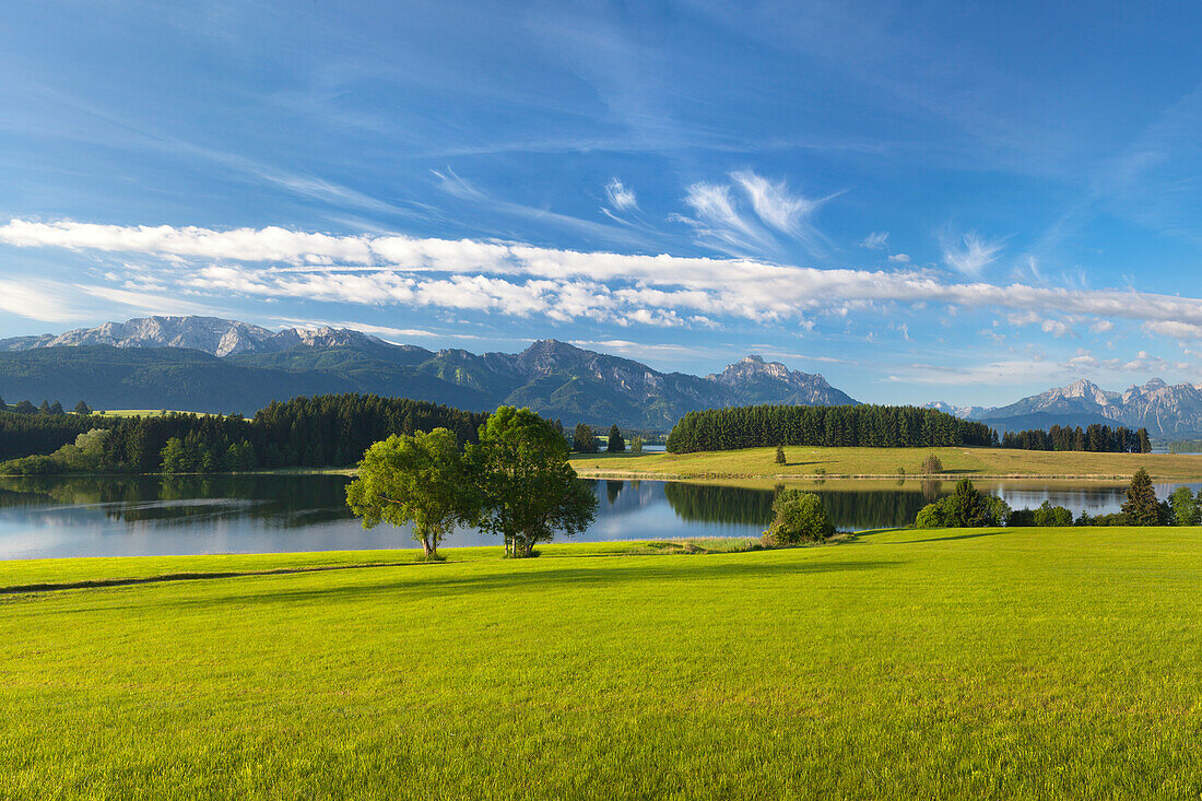 Blick über den Forggensee auf Tegelberg, Säuling und Tannheimer Berge, Allgäu, Bayern, Deutschland