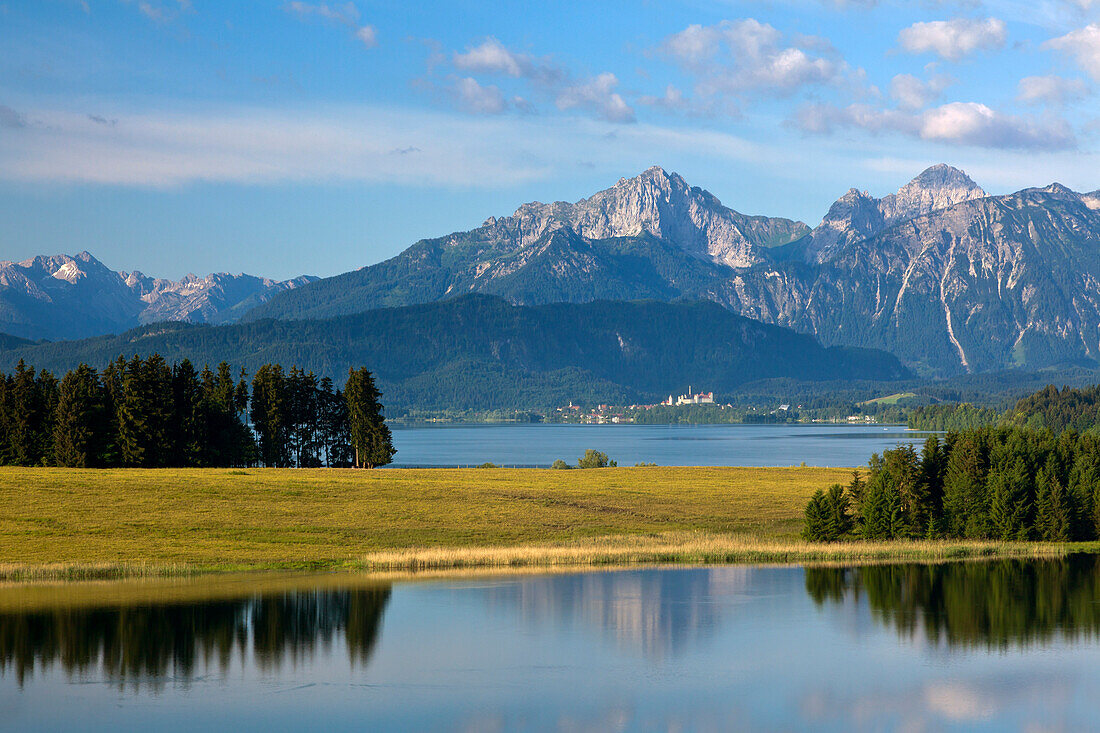 Blick über den Forggensee auf das Hohe Schloss in Füssen, Tannheimer Berge im Hintergrund, Allgäu, Bayern, Deutschland