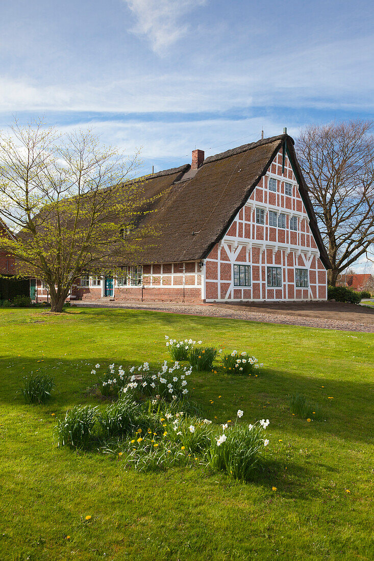 Half-timbered house with thatched roof, near Mittelnkirchen, Altes Land, Lower Saxony, Germany