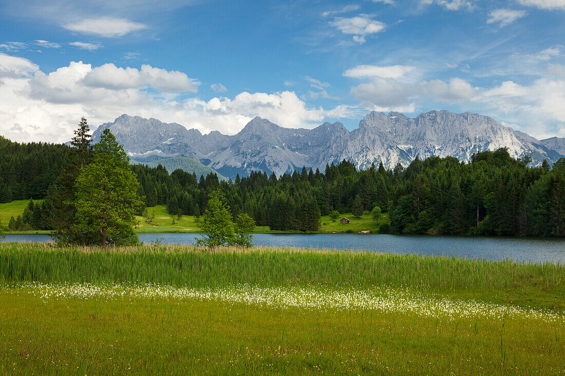 Cotton grass at Geroldsee, view to Karwendel, Werdenfels region, Bavaria, Germany