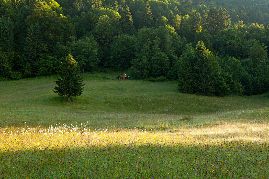 Haystack on a meadow at Geroldsee, Werdenfels region, Bavaria, Germany