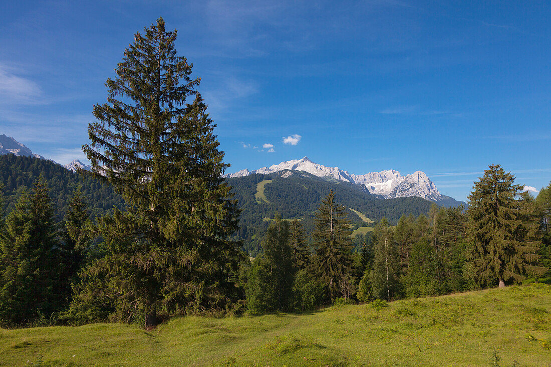 Wettersteingebirge mit Alpspitze, Zugspitze und Waxenstein, bei Garmisch-Partenkirchen, Werdenfelser Land, Bayern, Deutschland