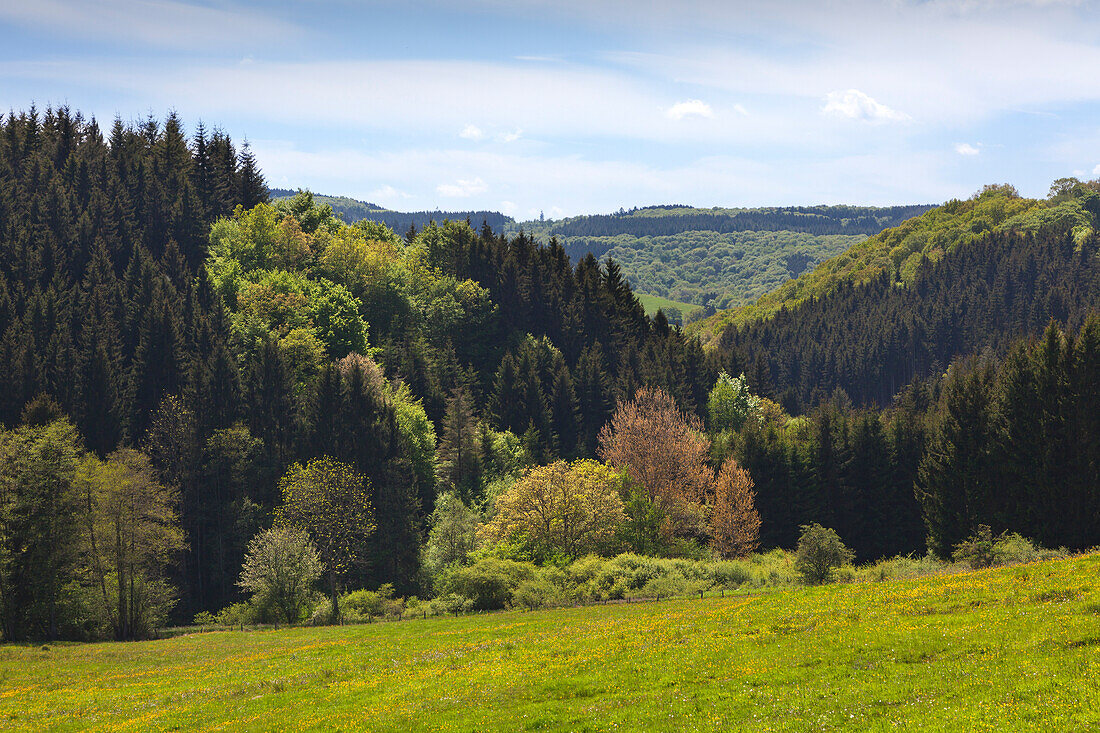 Landscape near Gerolstein, Eifelsteig hiking trail, Vulkaneifel, Eifel, Rhineland-Palatinate, Germany