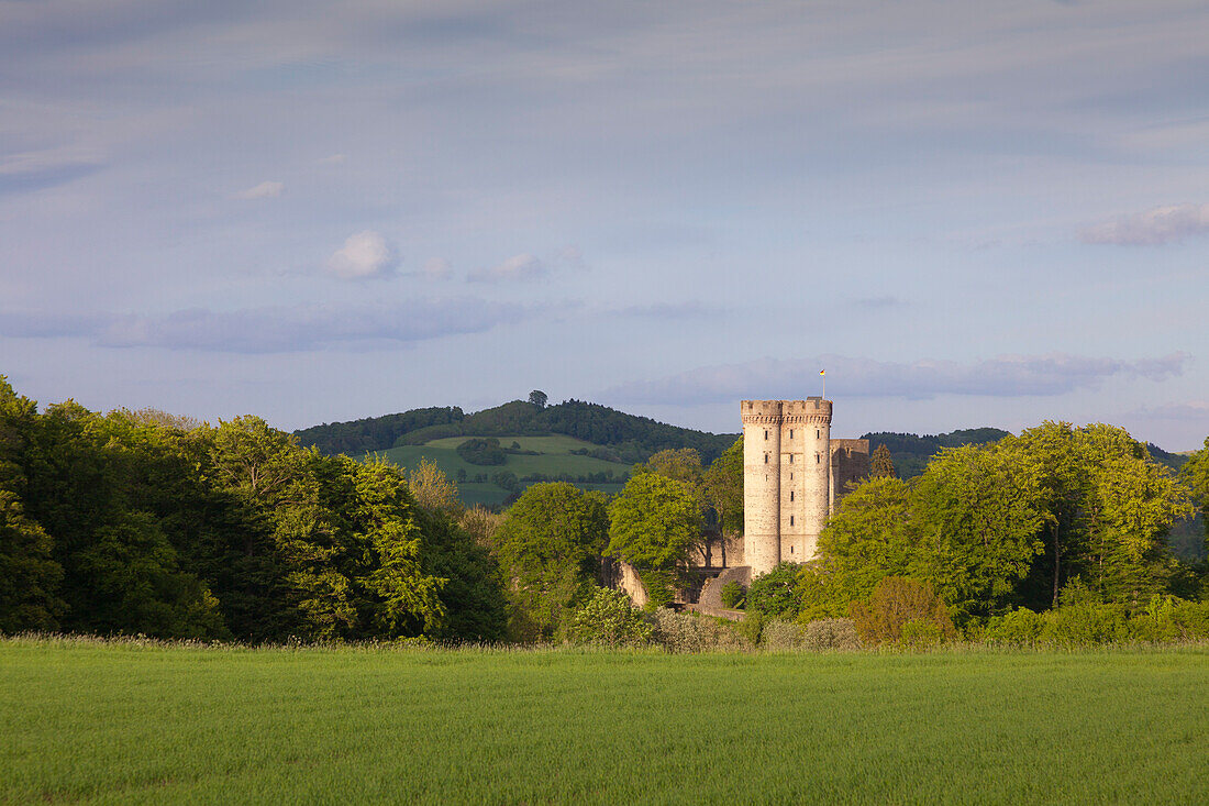 Kasselburg bei Pelm, Vulkaneifel, Eifel, Rheinland-Pfalz, Deutschland