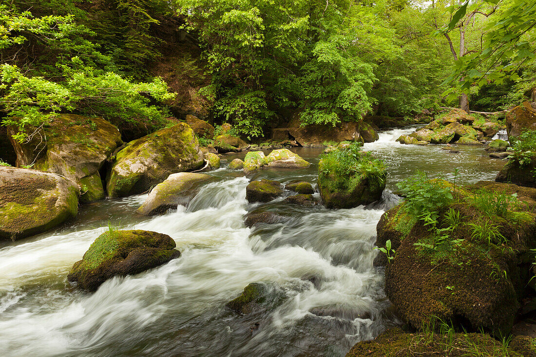 Irreler Wasserfälle, Stromschnellen des Flüsschens Prüm, bei Irrel, Naturpark Südeifel, Eifel, Rheinland-Pfalz, Deutschland