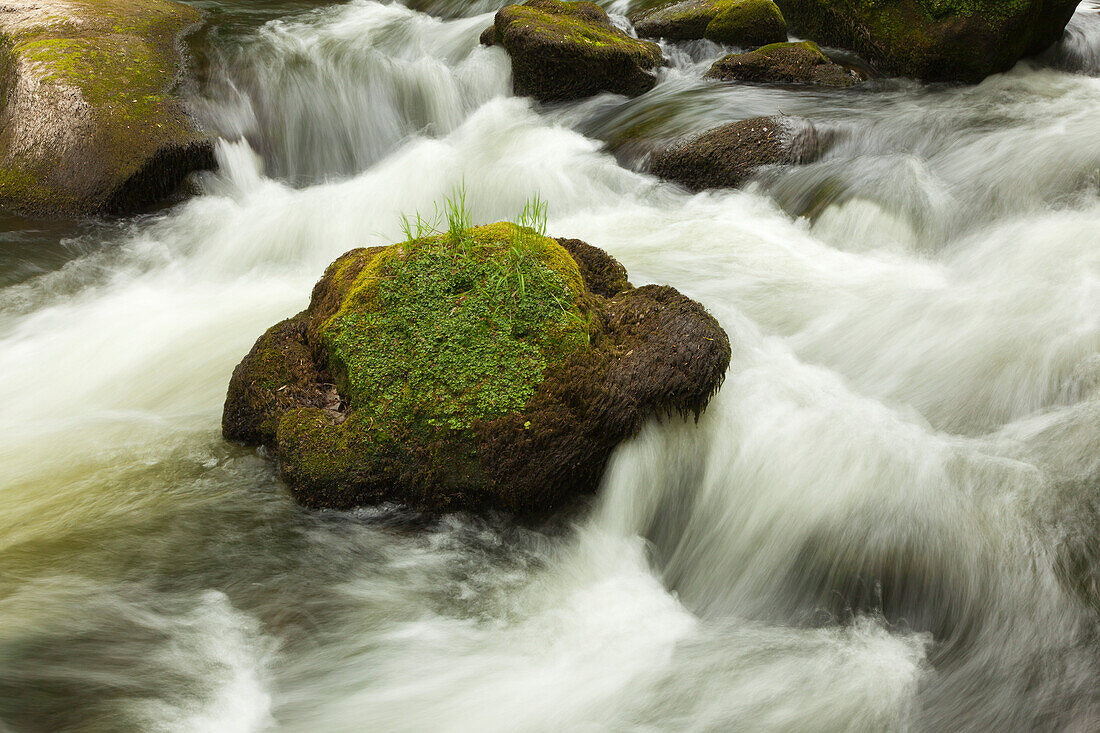 „Irreler Wasserfälle“, Stromschnellen des Flüsschens Prüm, bei Irrel, Naturpark Südeifel, Eifel, Rheinland-Pfalz, Deutschland