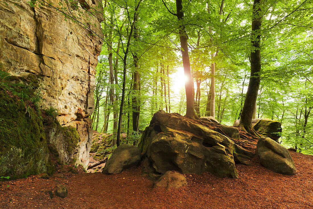 Teufelsschlucht, Naturpark Südeifel, Eifel, Rheinland-Pfalz, Deutschland