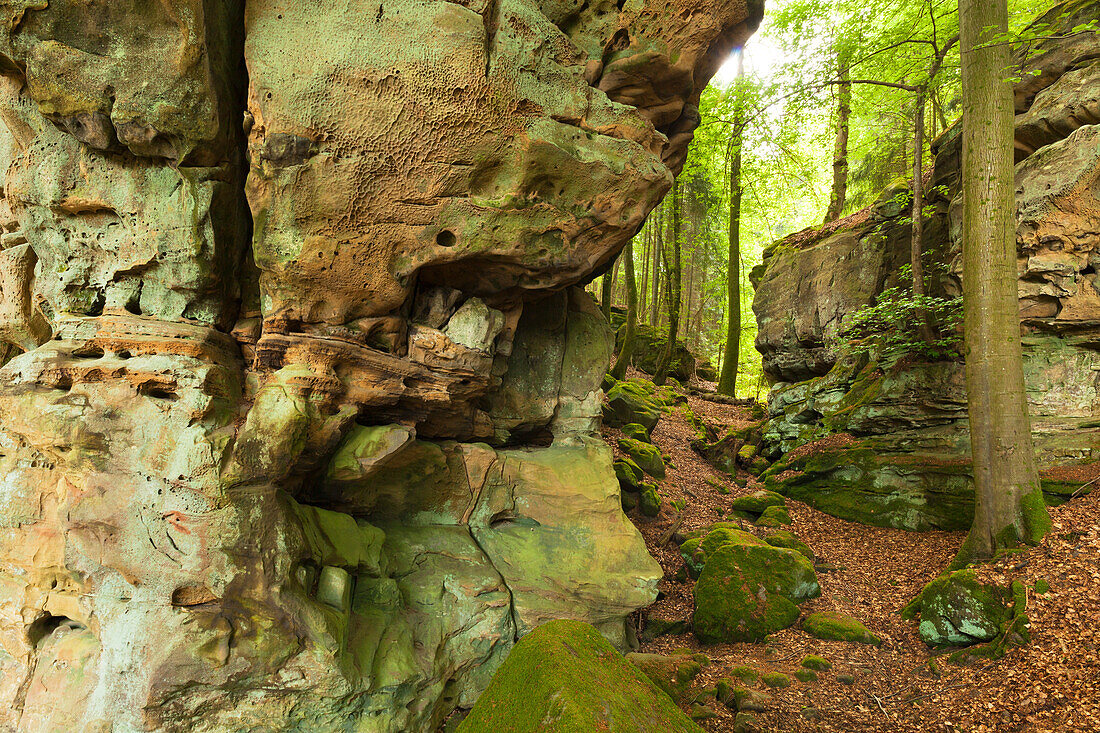 Teufelsschlucht, Naturpark Südeifel, Eifel, Rheinland-Pfalz, Deutschland