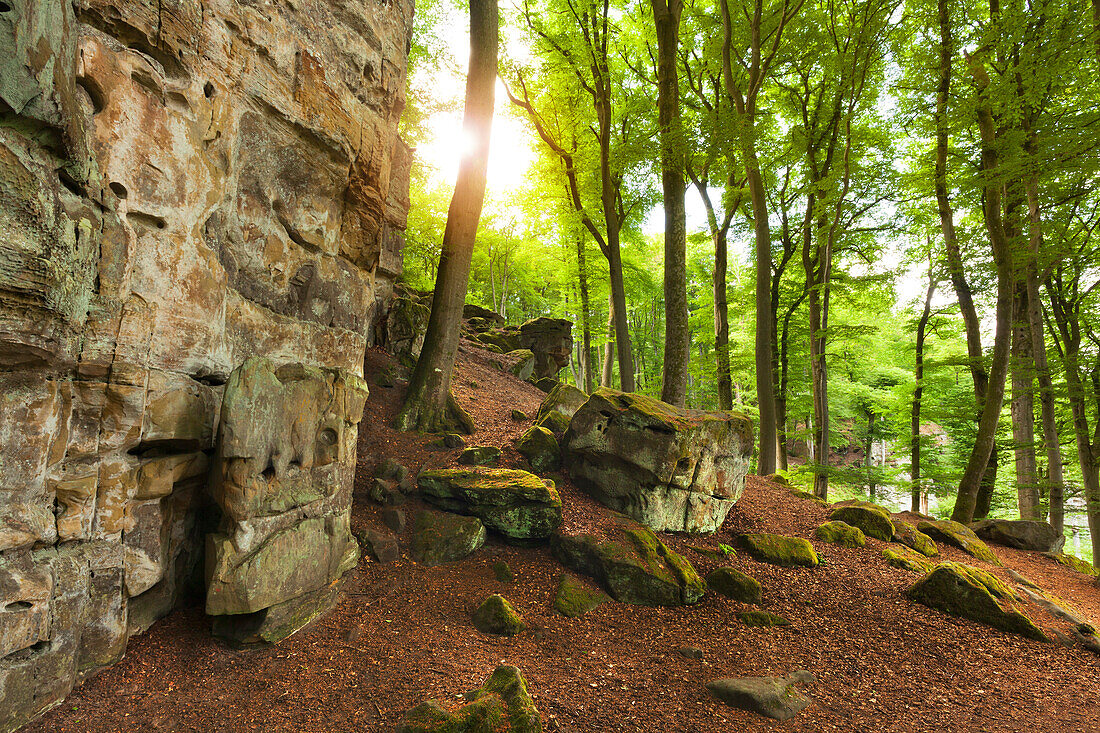 Teufelsschlucht, Naturpark Südeifel, Eifel, Rheinland-Pfalz, Deutschland