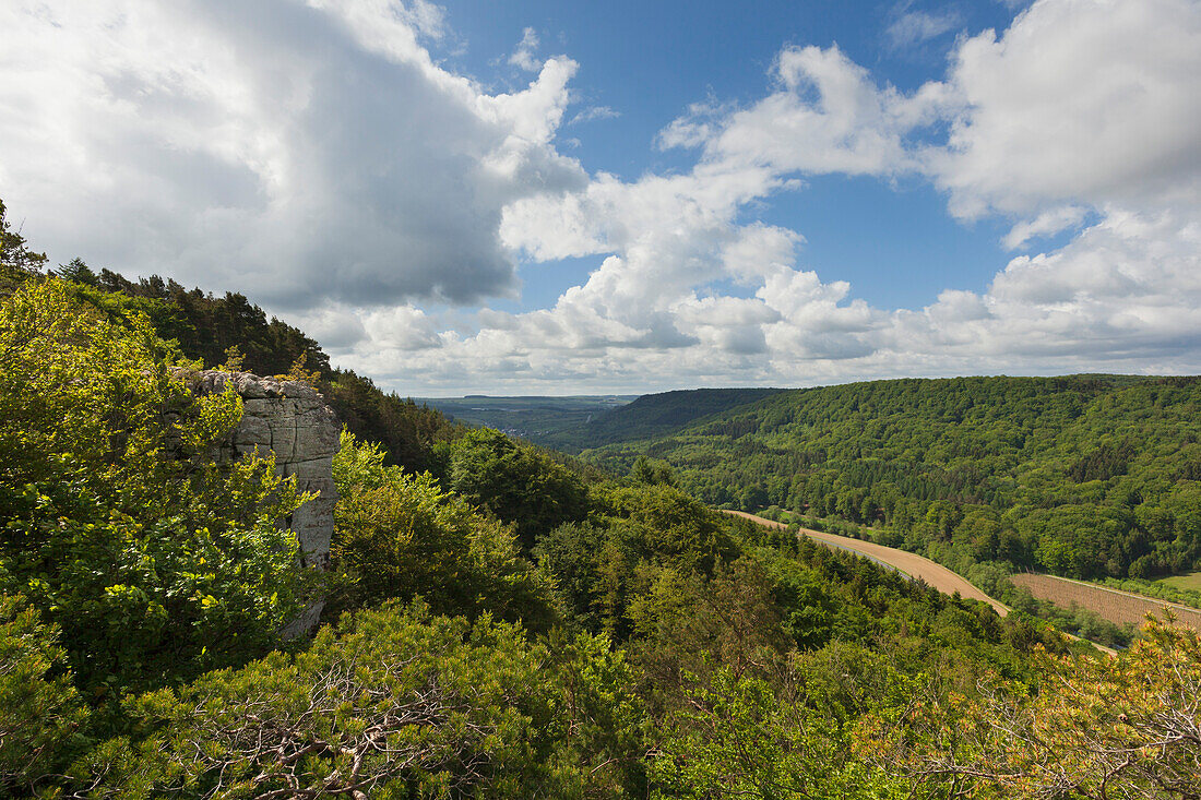 View from the rocks of Pruemerburg to the valley of the Pruem rivulet, nature park Suedeifel, Eifel, Rhineland-Palatinate, Germany