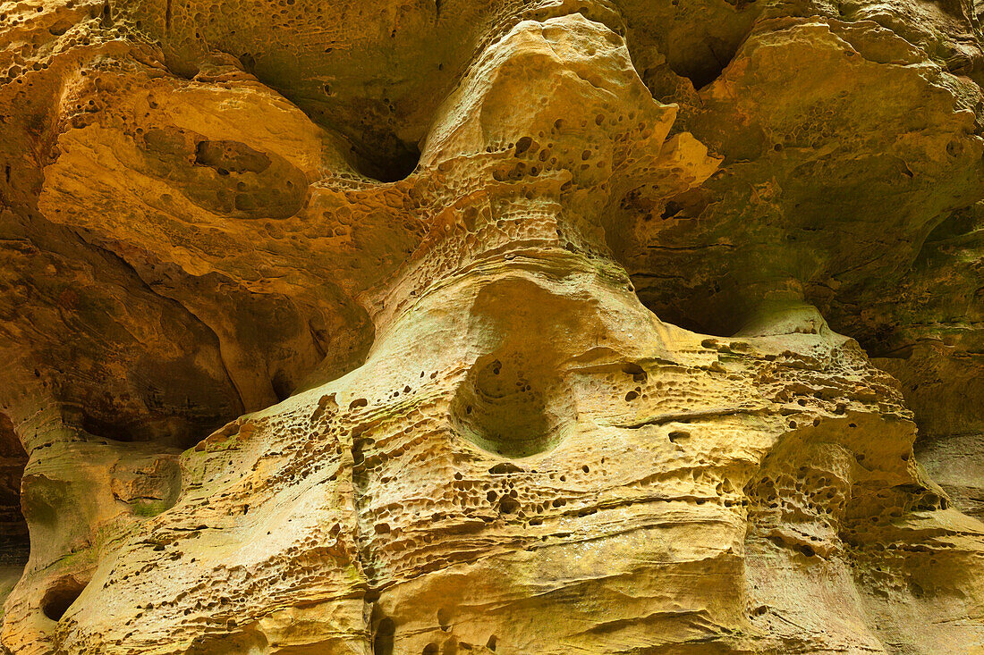 Weathering of sandstone rocks, rock formation Schweinestaelle, near Bollendorf, nature park Suedeifel, Eifel, Rhineland-Palatinate, Germany