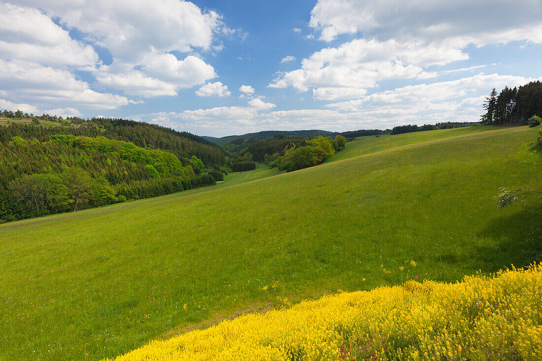 Landscape near Blankenheim, Eifelsteig hiking trail, Eifel, Rhineland-Palatinate, Germany