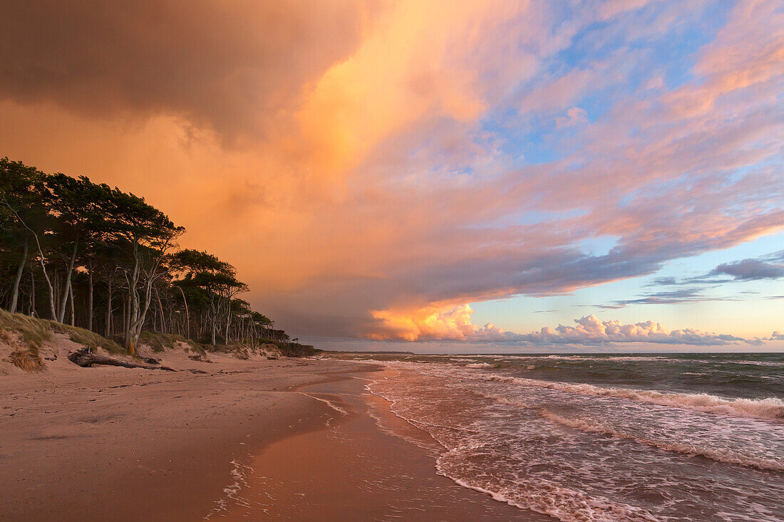 Thunderclouds at western beach, Darss, National Park Vorpommersche Boddenlandschaft, Baltic Sea, Mecklenburg-West Pomerania, Germany