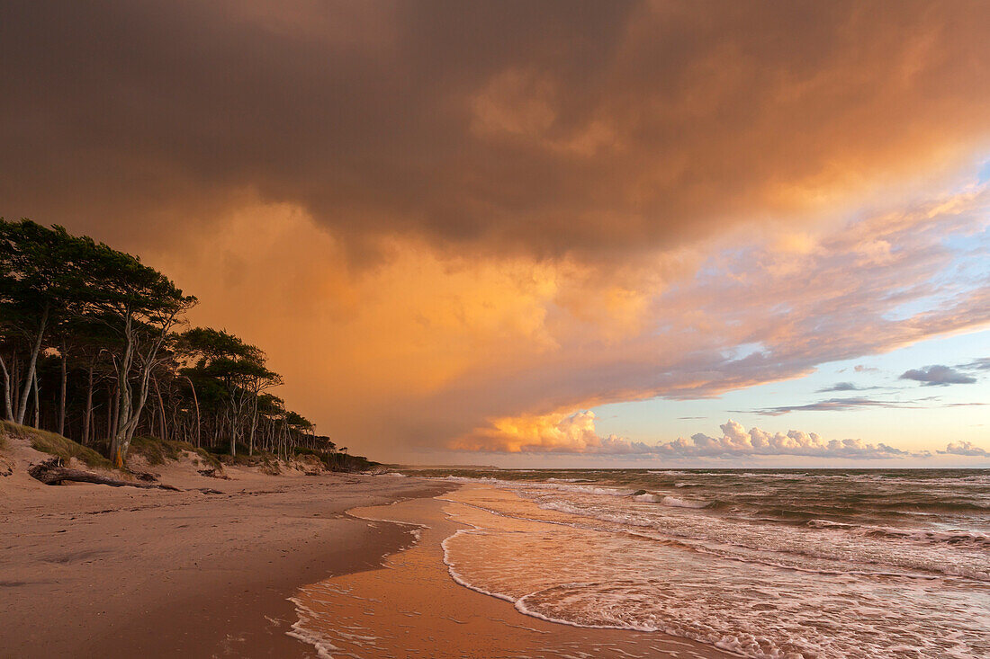 Thunderclouds at western beach, Darss, National Park Vorpommersche Boddenlandschaft, Baltic Sea, Mecklenburg-West Pomerania, Germany