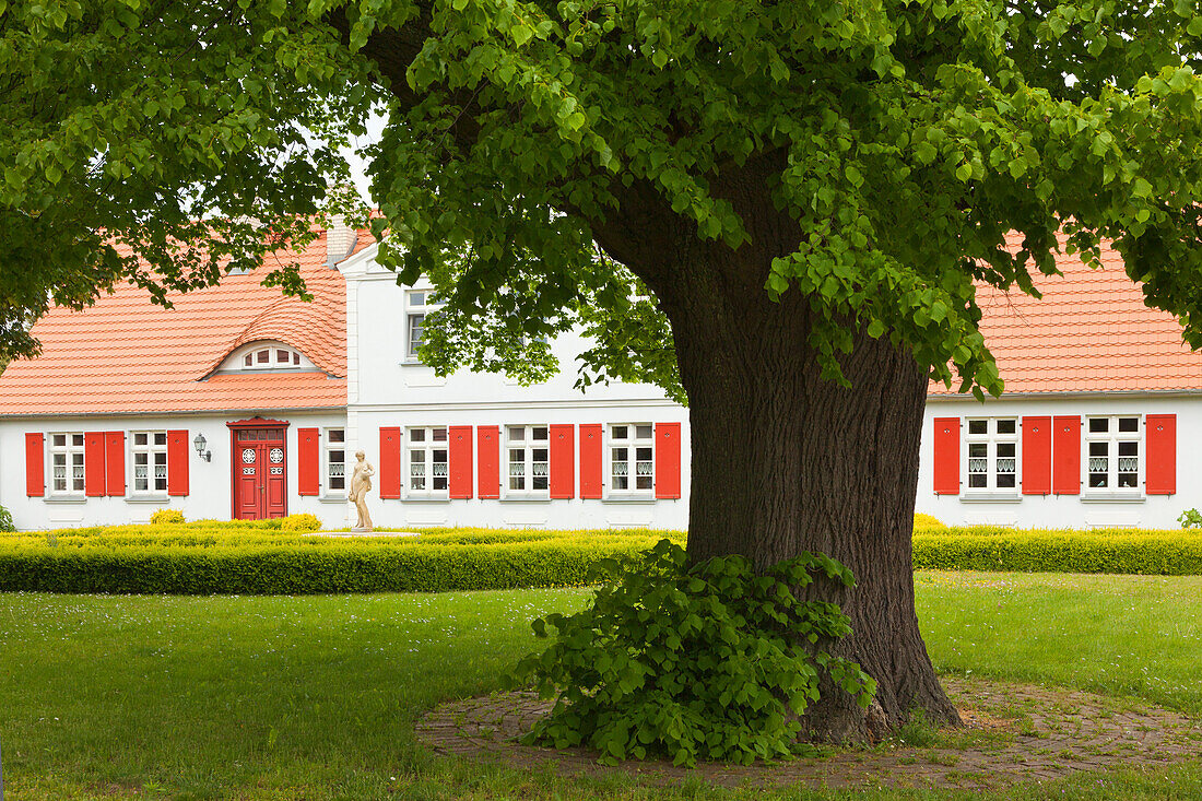 Haus in Born am Darss,  Ostsee, Mecklenburg-Vorpommern, Deutschland