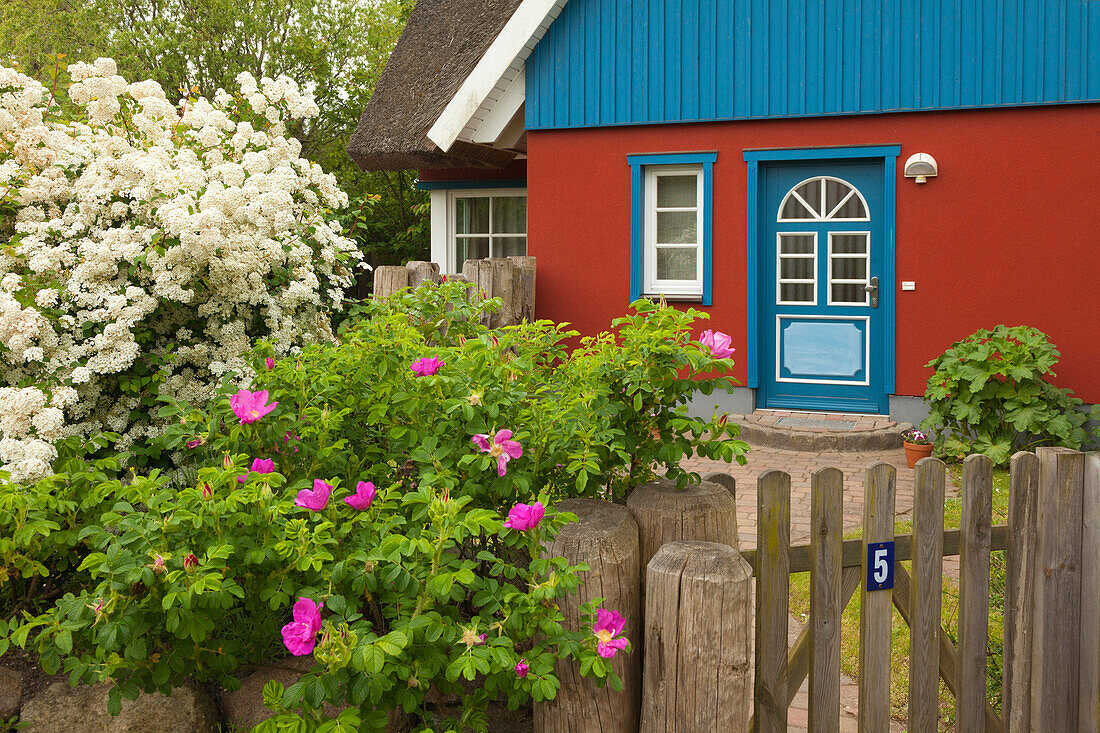 Haus in Born am Darss,  Ostsee, Mecklenburg-Vorpommern, Deutschland