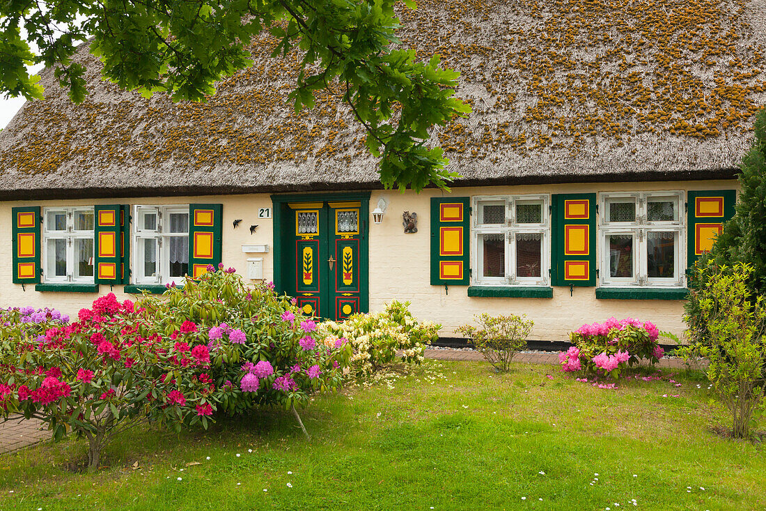 House in Born, Darss, Baltic Sea, Mecklenburg-West Pomerania, Germany