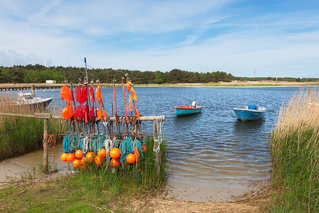 Darsser Ort, Darss, National Park Vorpommersche Boddenlandschaft, Baltic Sea, Mecklenburg-West Pomerania, Germany