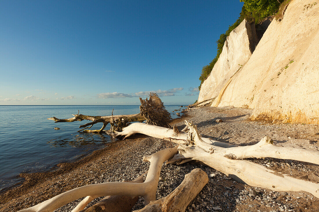 Kreidefelsen, Nationalpark Jasmund, Insel Rügen, Ostsee, Mecklenburg-Vorpommern, Deutschland