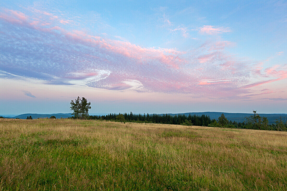 Am Kahlen Asten, bei Winterberg, Rothaarsteig, Rothaargebirge, Sauerland, Nordrhein-Westfalen, Deutschland